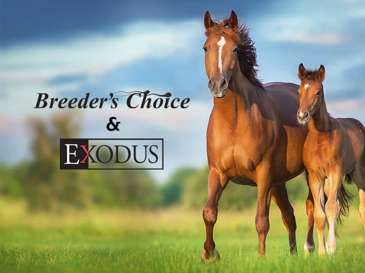 Breeder's Choice & Exodus